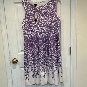 Talbots Size 14 Dress, NWT